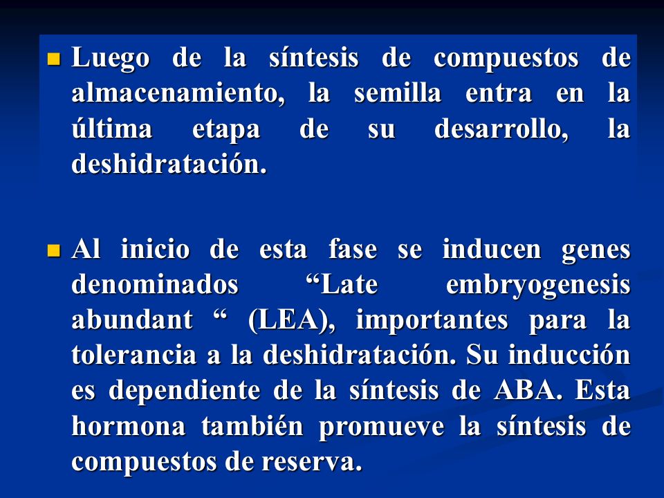 Luego de la síntesis de compuestos de almacenamiento, la semilla entra en la última etapa de su desarrollo, la deshidratación.