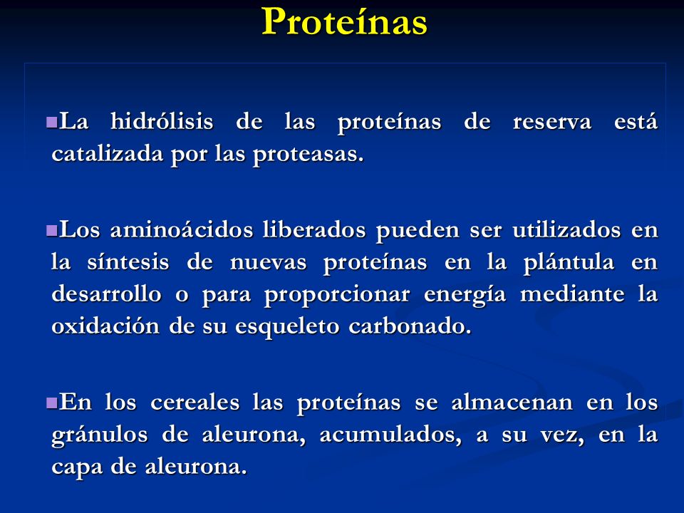 Proteínas La hidrólisis de las proteínas de reserva está catalizada por las proteasas.