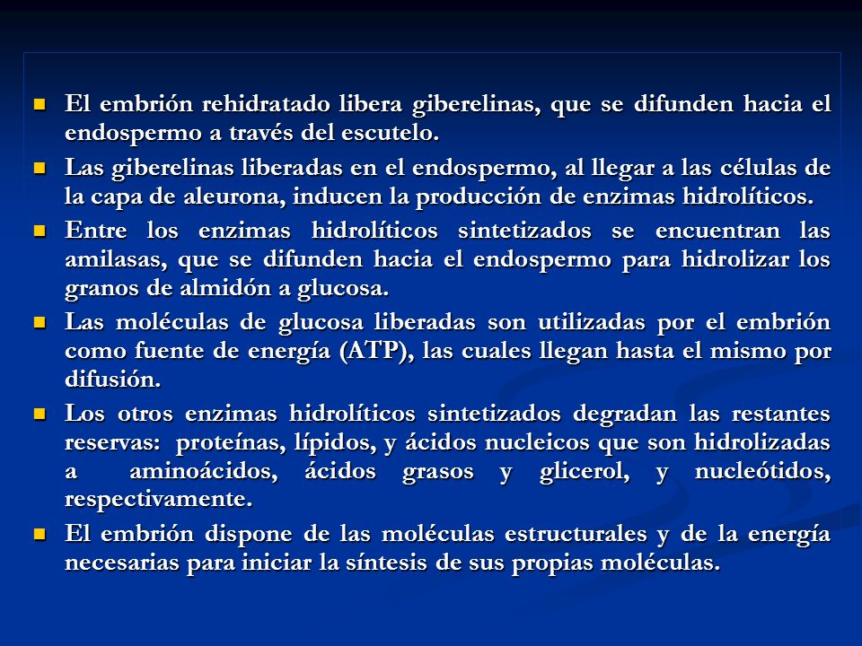 El embrión rehidratado libera giberelinas, que se difunden hacia el endospermo a través del escutelo.