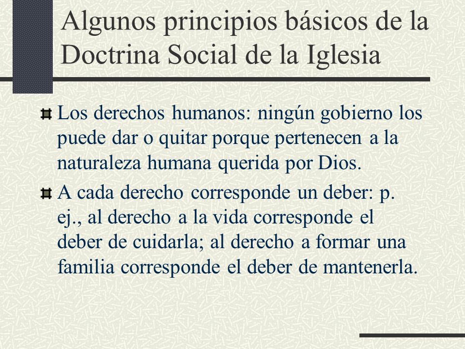 Algunos principios básicos de la Doctrina Social de la Iglesia