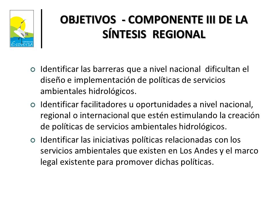 OBJETIVOS - COMPONENTE III DE LA SÍNTESIS REGIONAL