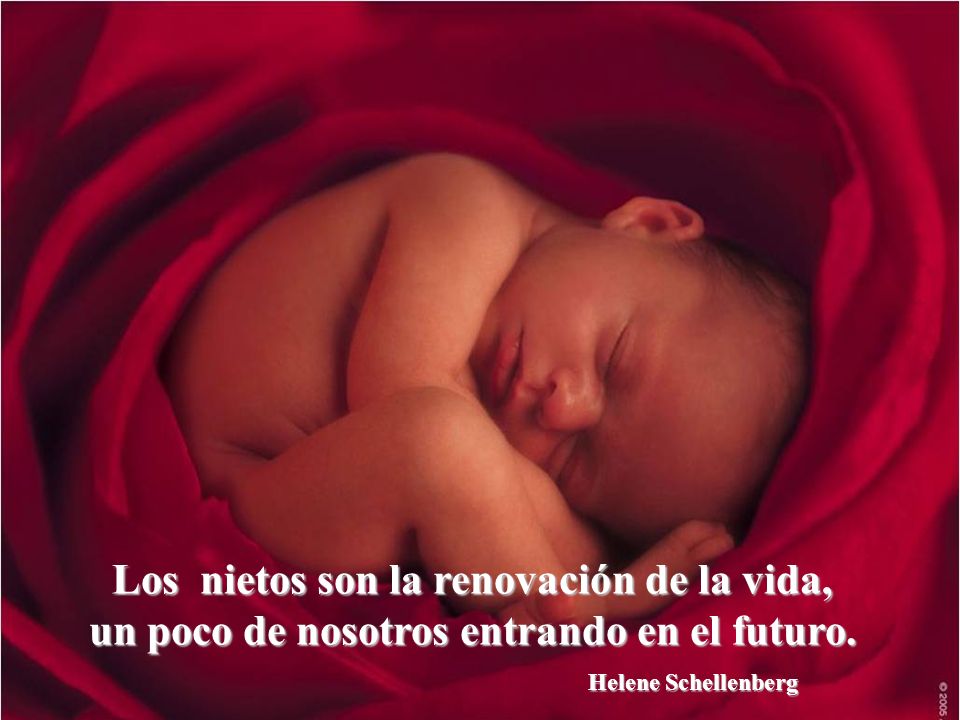 Los nietos son la renovación de la vida, un poco de nosotros entrando en el futuro.
