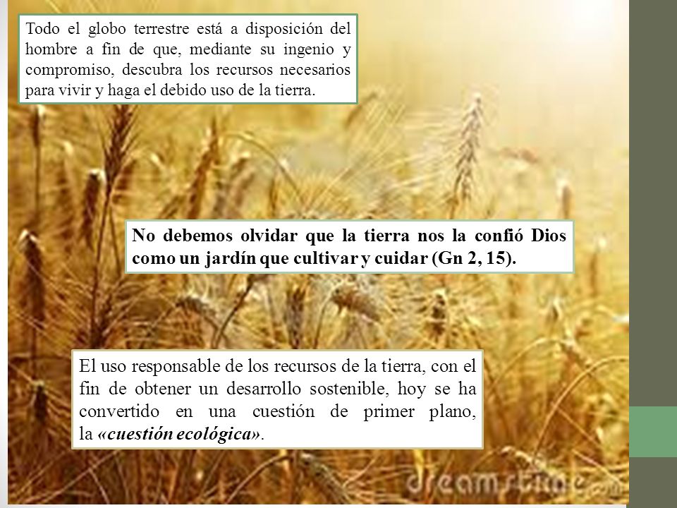 Todo el globo terrestre está a disposición del hombre a fin de que, mediante su ingenio y compromiso, descubra los recursos necesarios para vivir y haga el debido uso de la tierra.