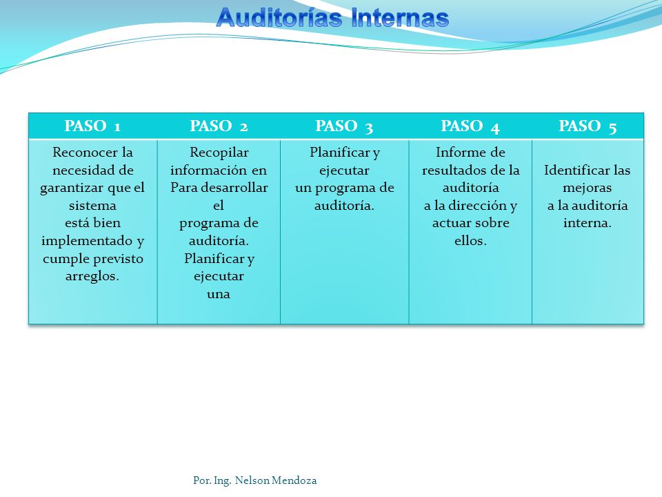 Auditorías Internas PASO 1 PASO 2 PASO 3 PASO 4 PASO 5