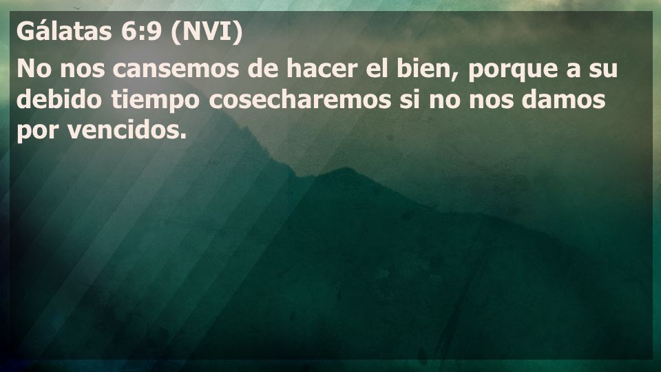 Gálatas 6:9 (NVI) No nos cansemos de hacer el bien, porque a su debido tiempo cosecharemos si no nos damos por vencidos.