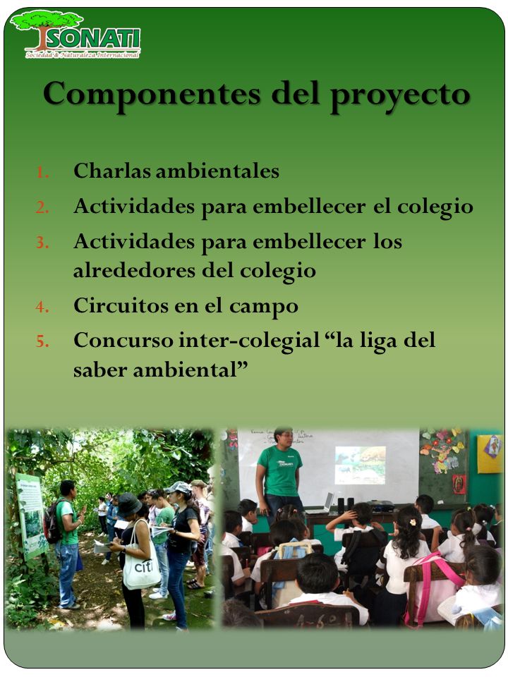 Proyecto: “Colegio verde”. - ppt descargar