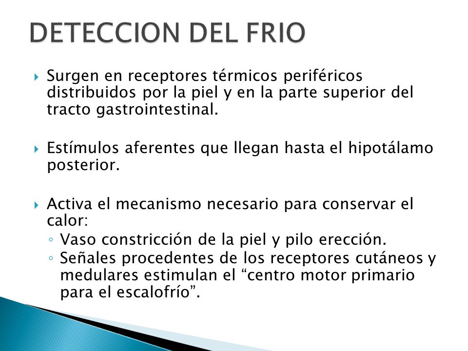 DETECCION DEL FRIO Surgen en receptores térmicos periféricos distribuidos por la piel y en la parte superior del tracto gastrointestinal.
