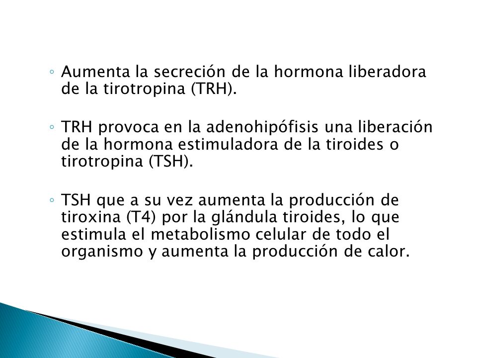 Aumenta la secreción de la hormona liberadora de la tirotropina (TRH).