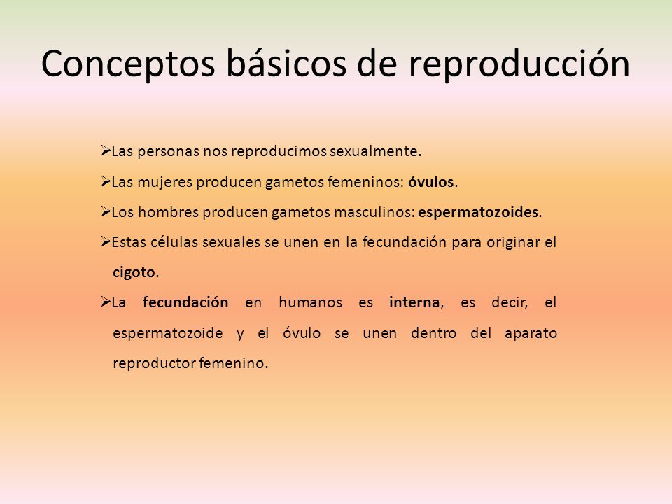 Conceptos básicos de reproducción