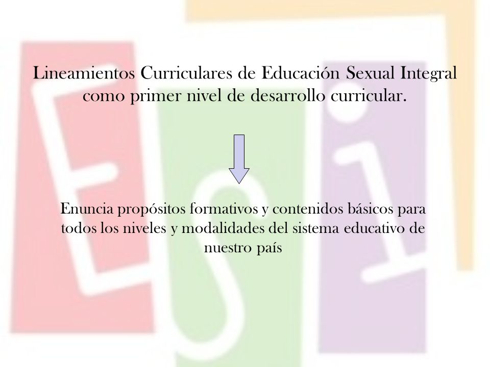 Lineamientos Curriculares de Educación Sexual Integral como primer nivel de desarrollo curricular.
