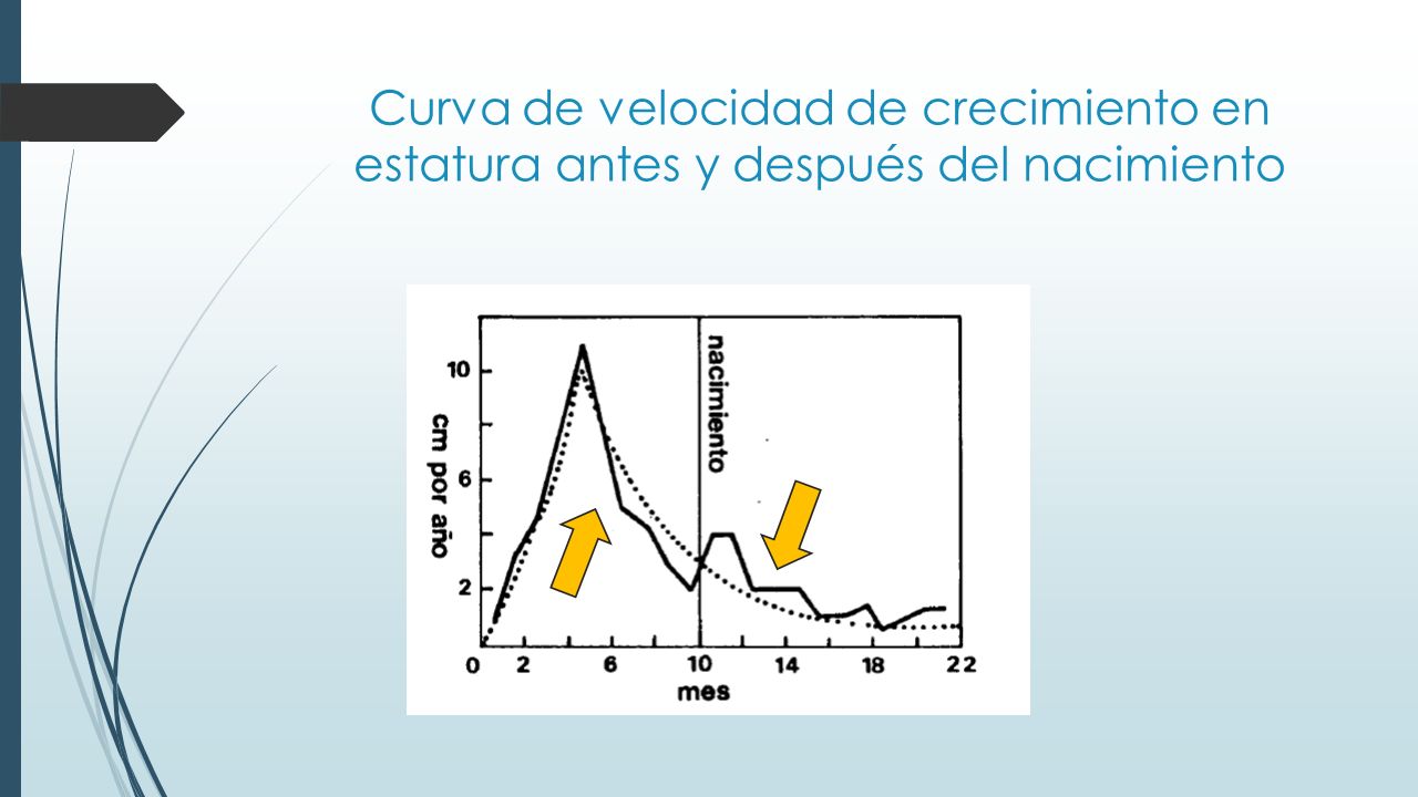 Curva de velocidad de crecimiento en estatura antes y después del nacimiento