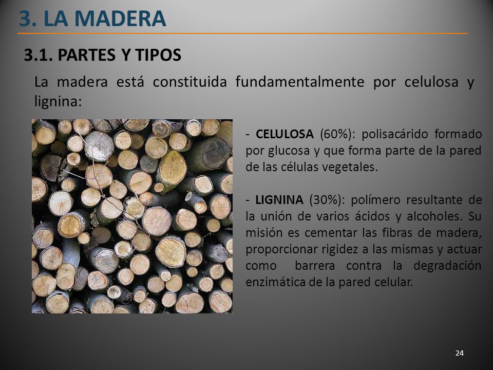 3. LA MADERA 3.1. PARTES Y TIPOS