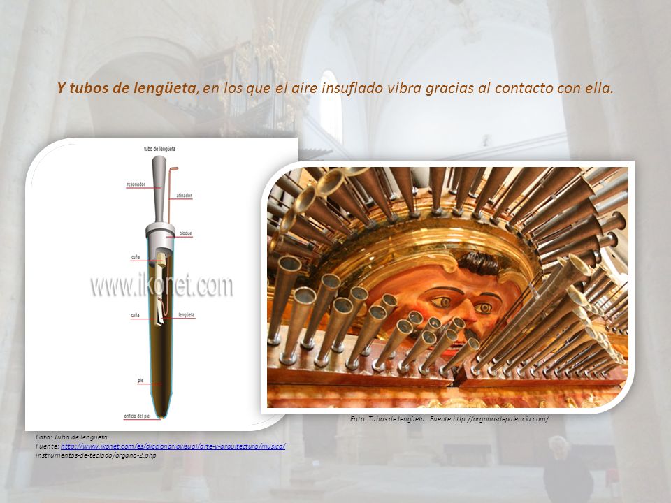 Y tubos de lengüeta, en los que el aire insuflado vibra gracias al contacto con ella.
