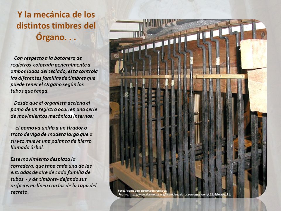 Y la mecánica de los distintos timbres del Órgano. . .