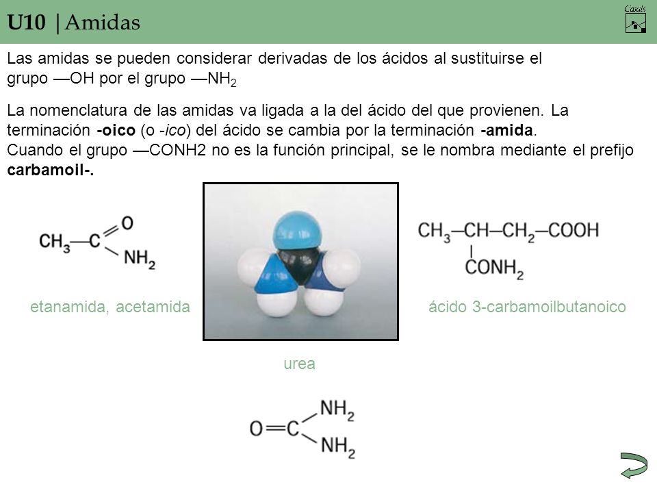 U10 |Amidas Las amidas se pueden considerar derivadas de los ácidos al sustituirse el. grupo —OH por el grupo —NH2.