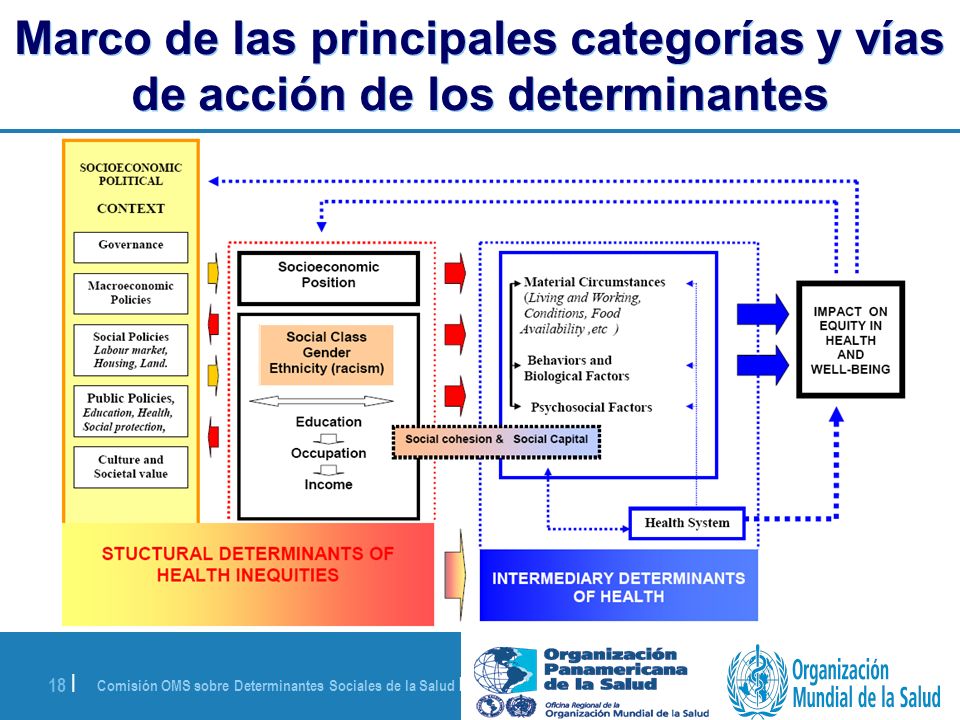 Marco de las principales categorías y vías de acción de los determinantes
