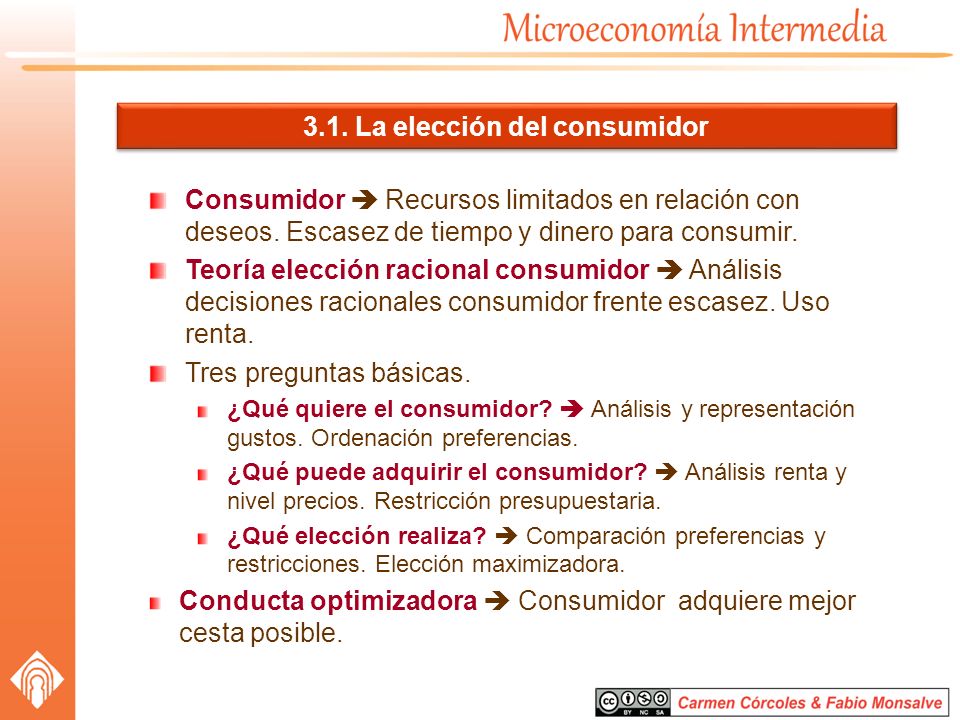 3.1. La elección del consumidor