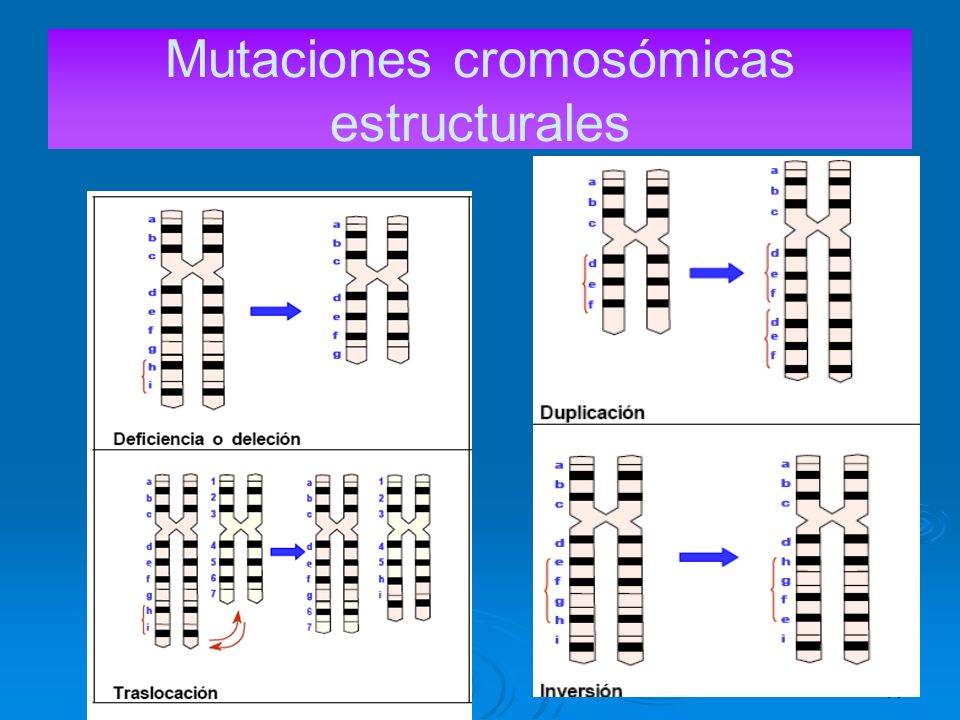 Mutaciones cromosómicas estructurales