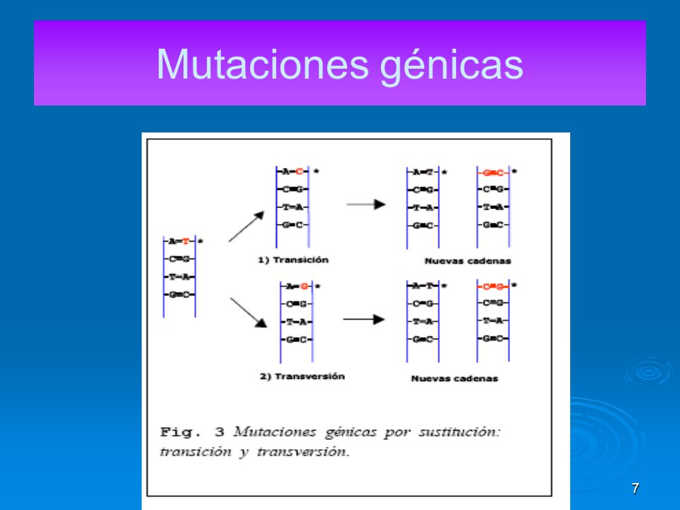 Mutaciones génicas
