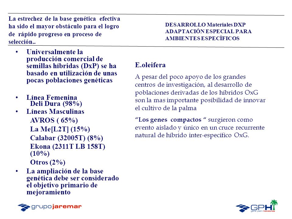 La estrechez de la base genética efectiva ha sido el mayor obstáculo para el logro de rápido progreso en proceso de selección..