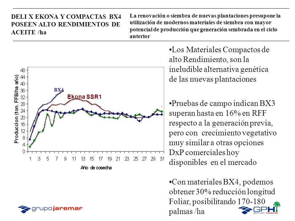 DELI X EKONA Y COMPACTAS BX4 POSEEN ALTO RENDIMIENTOS DE ACEITE /ha