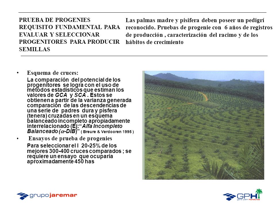 PRUEBA DE PROGENIES REQUISITO FUNDAMENTAL PARA EVALUAR Y SELECCIONAR PROGENITORES PARA PRODUCIR SEMILLAS