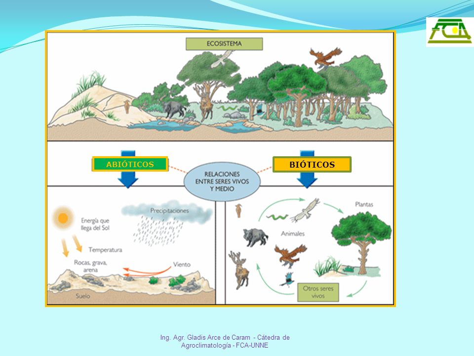 ABIÓTICOS BIÓTICOS Ing. Agr. Gladis Arce de Caram - Cátedra de Agroclimatología - FCA-UNNE