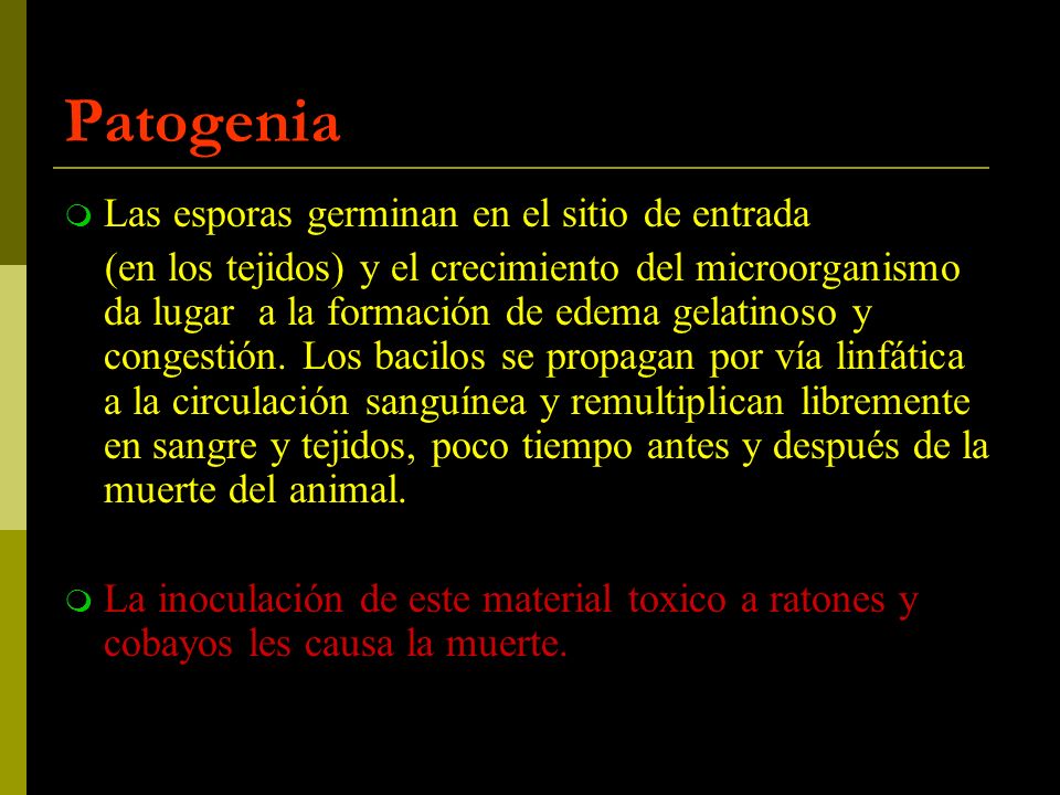 Patogenia Las esporas germinan en el sitio de entrada
