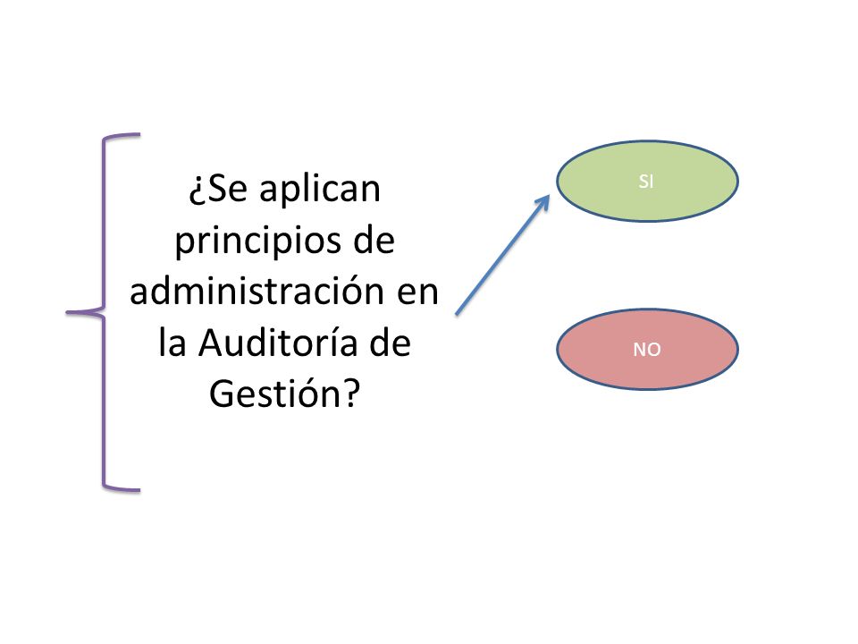 ¿Se aplican principios de administración en la Auditoría de Gestión