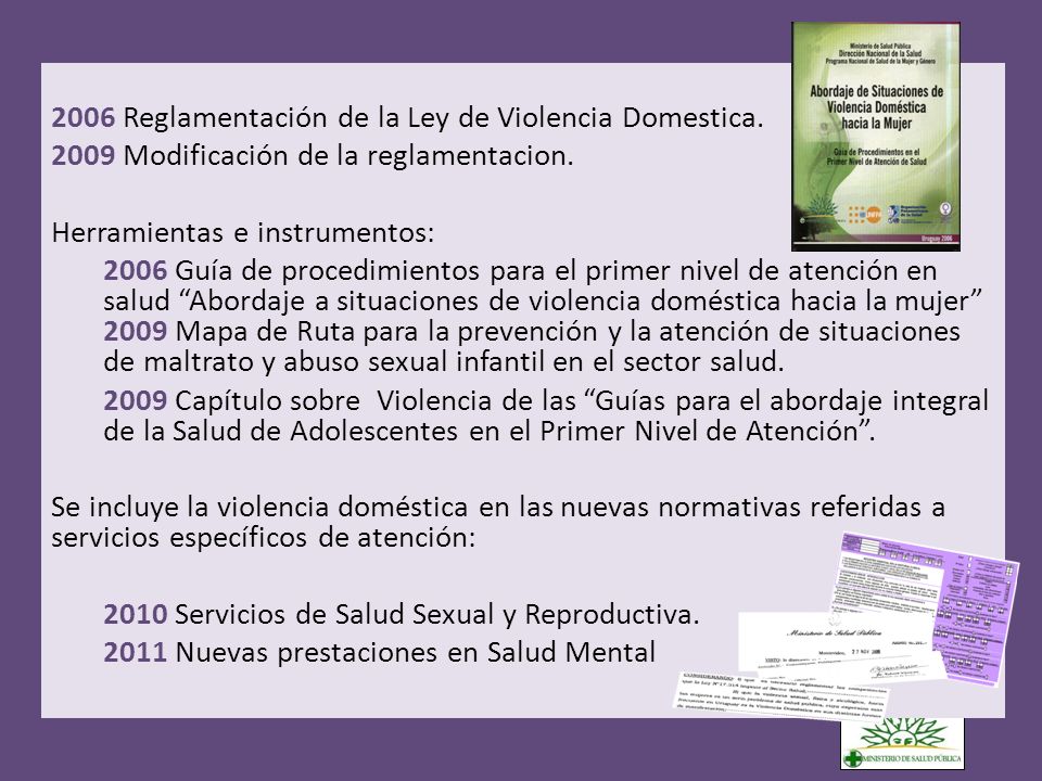 2006 Reglamentación de la Ley de Violencia Domestica.
