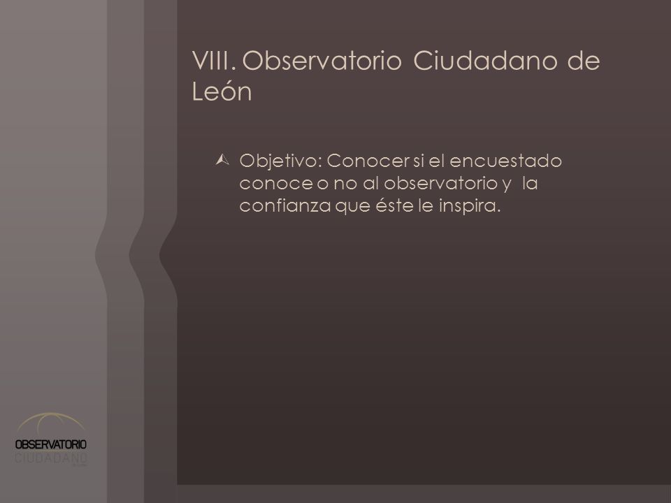 VIII. Observatorio Ciudadano de León