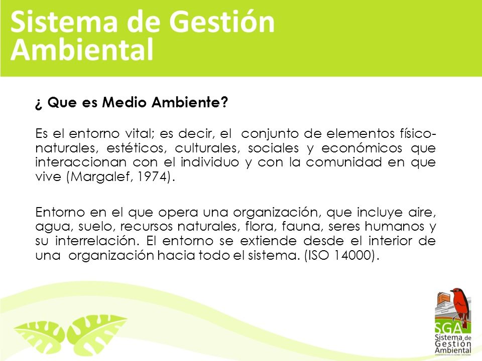 ¿ Que es Medio Ambiente