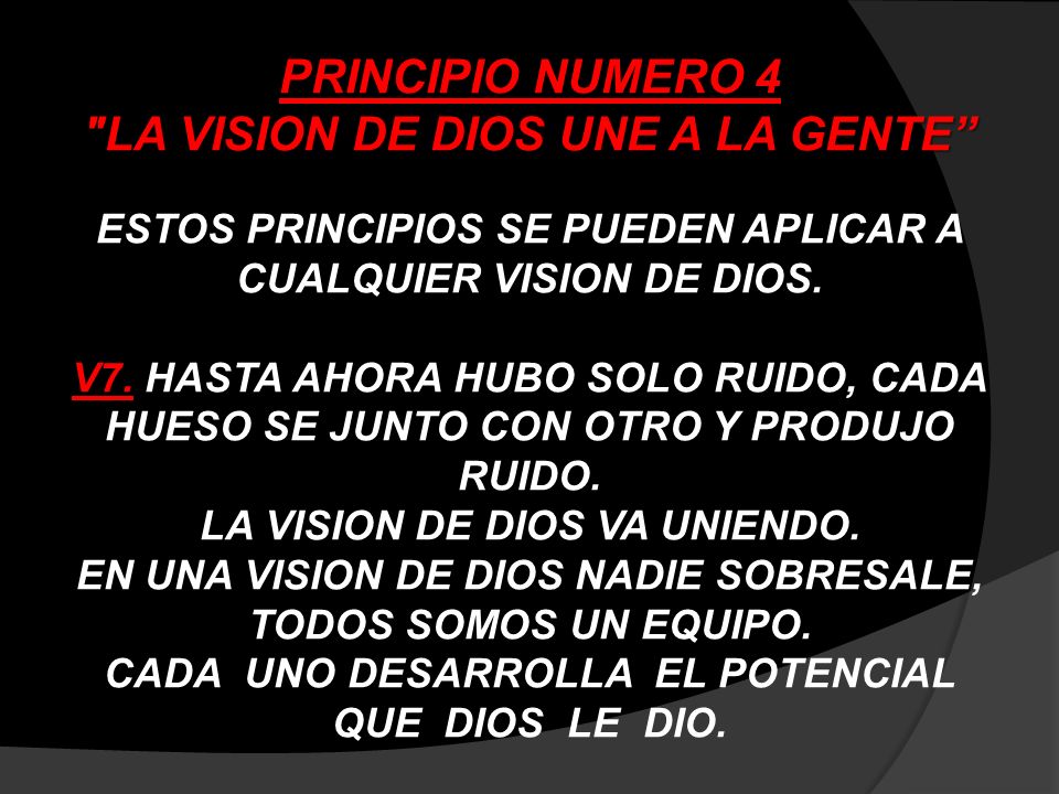 PRINCIPIO NUMERO 4 LA VISION DE DIOS UNE A LA GENTE