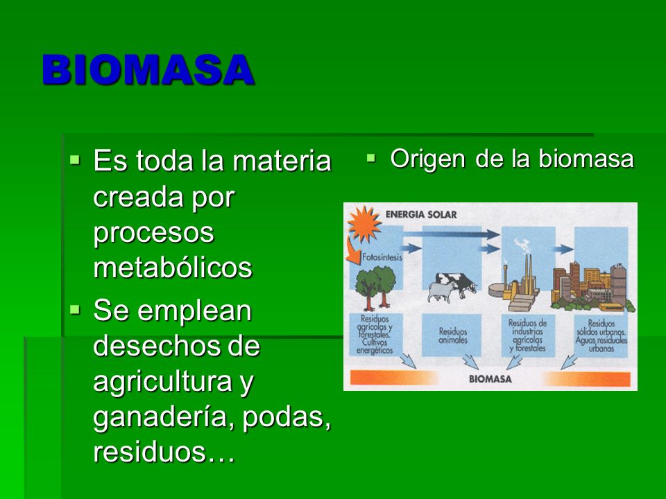 BIOMASA Es toda la materia creada por procesos metabólicos