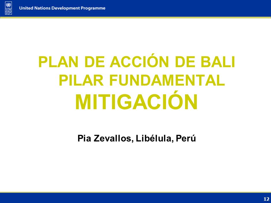 PLAN DE ACCIÓN DE BALI PILAR FUNDAMENTAL Pia Zevallos, Libélula, Perú