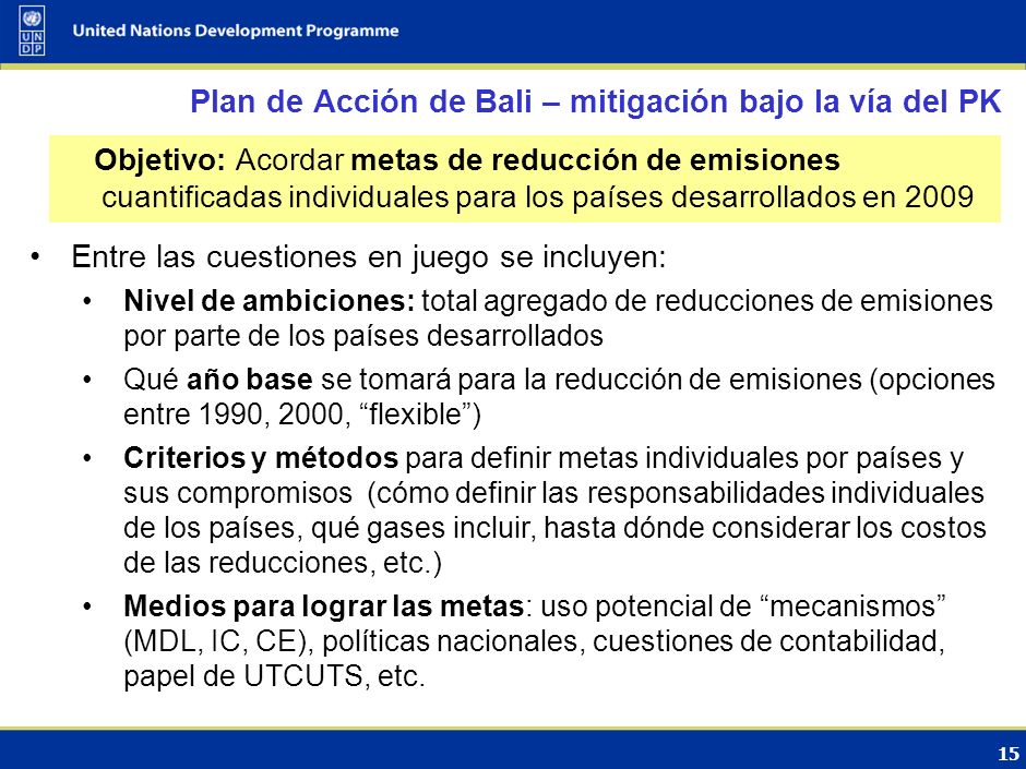 Plan de Acción de Bali – mitigación bajo la vía del PK
