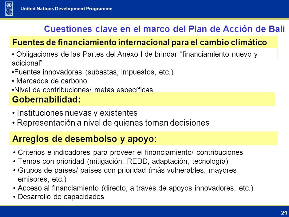Cuestiones clave en el marco del Plan de Acción de Bali