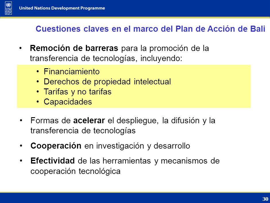 Cuestiones claves en el marco del Plan de Acción de Bali