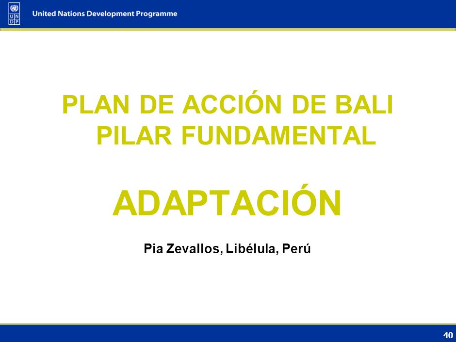 PLAN DE ACCIÓN DE BALI PILAR FUNDAMENTAL Pia Zevallos, Libélula, Perú