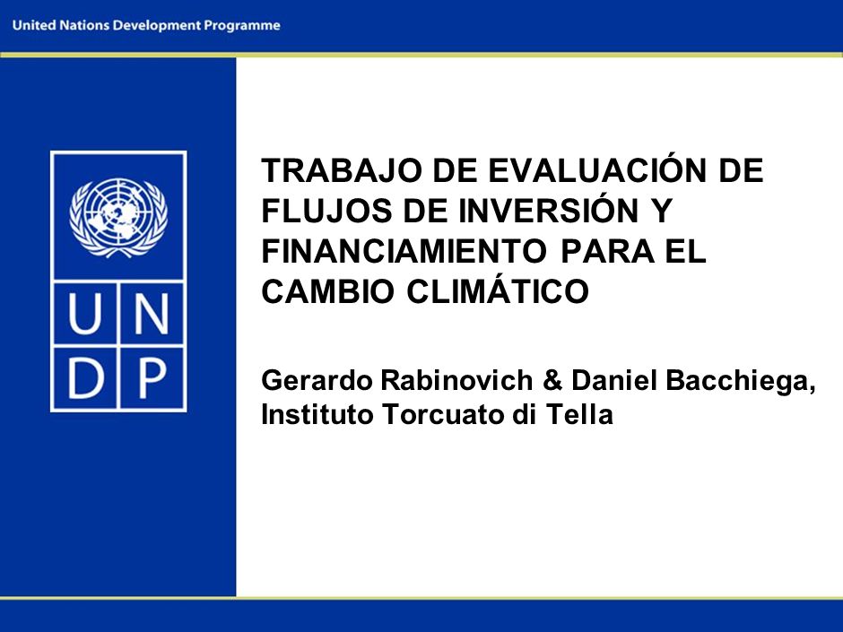 Presented at the UNDP Workshop on Investment & Financial Flows