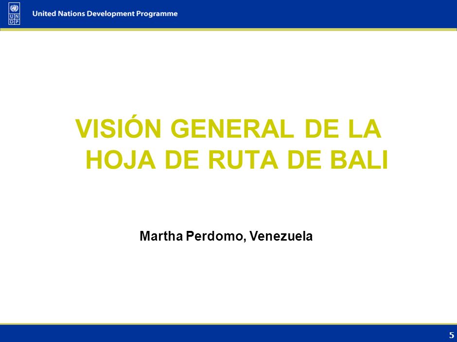 VISIÓN GENERAL DE LA HOJA DE RUTA DE BALI Martha Perdomo, Venezuela