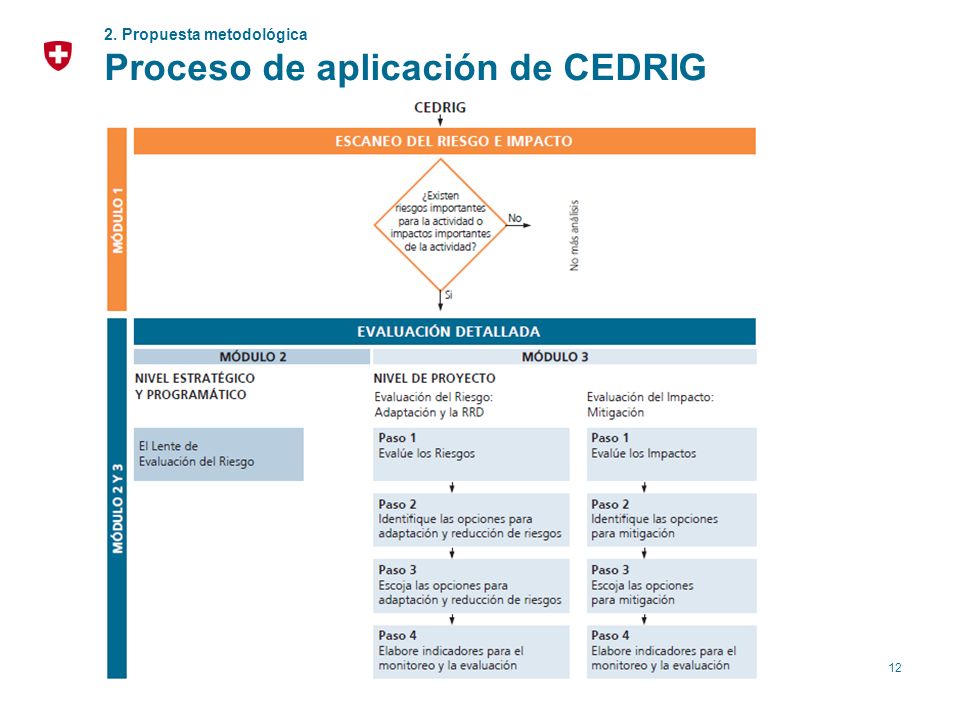 Proceso de aplicación de CEDRIG