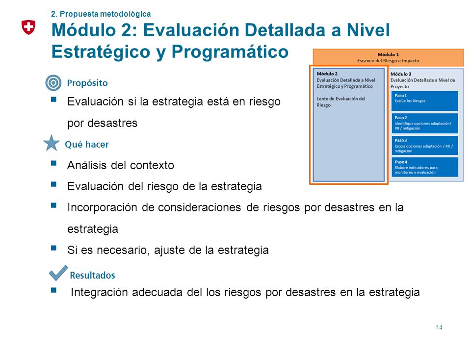 Módulo 2: Evaluación Detallada a Nivel Estratégico y Programático