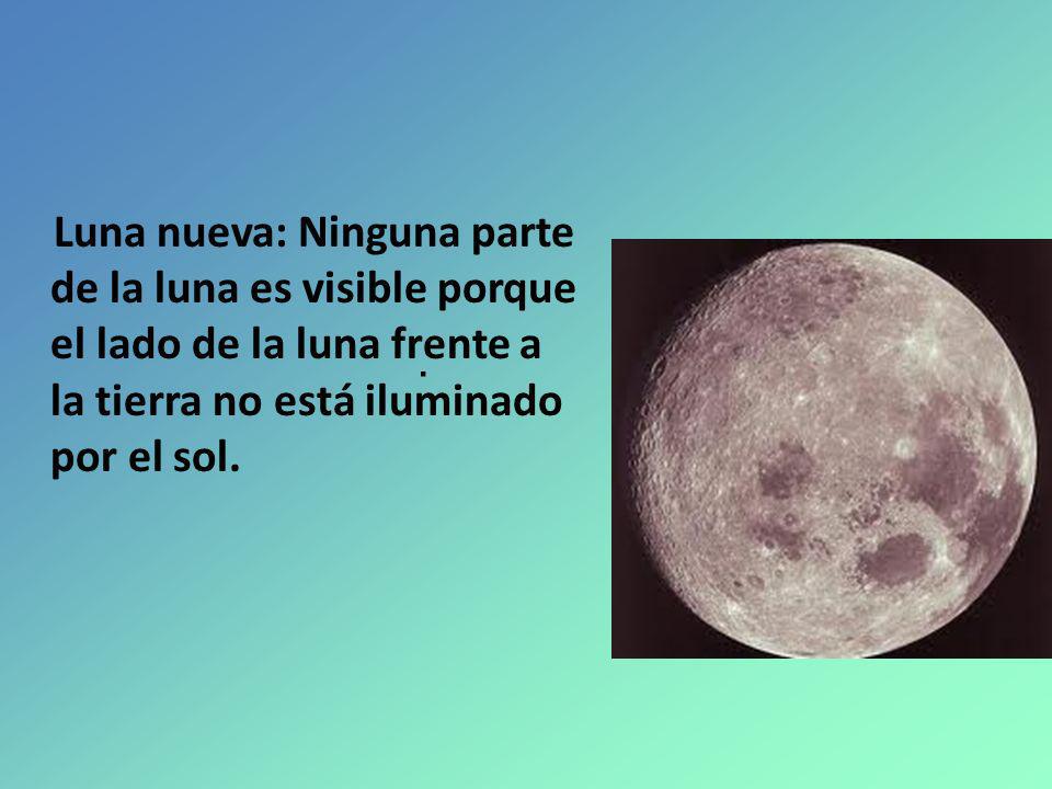 Luna nueva: Ninguna parte de la luna es visible porque el lado de la luna frente a la tierra no está iluminado por el sol.