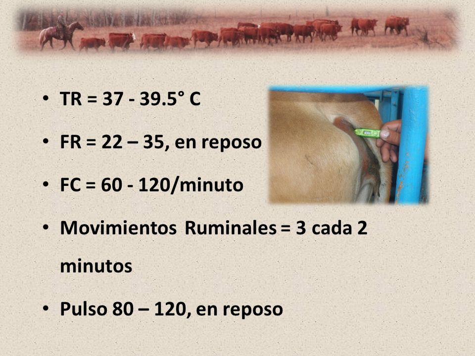 TR = ° C FR = 22 – 35, en reposo. FC = /minuto. Movimientos Ruminales = 3 cada 2 minutos.