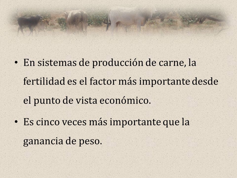 En sistemas de producción de carne, la fertilidad es el factor más importante desde el punto de vista económico.