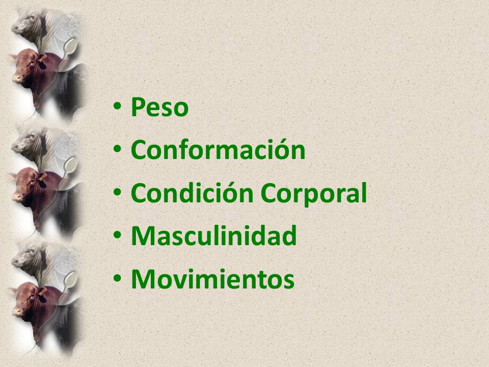 Peso Conformación Condición Corporal Masculinidad Movimientos
