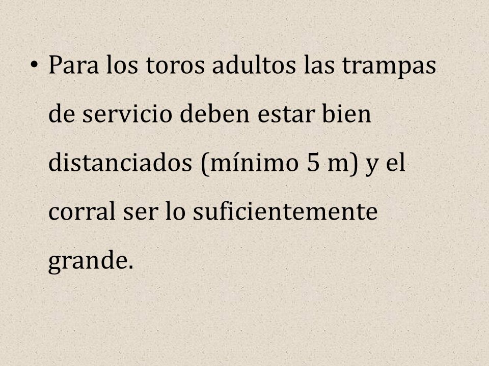 Para los toros adultos las trampas de servicio deben estar bien distanciados (mínimo 5 m) y el corral ser lo suficientemente grande.