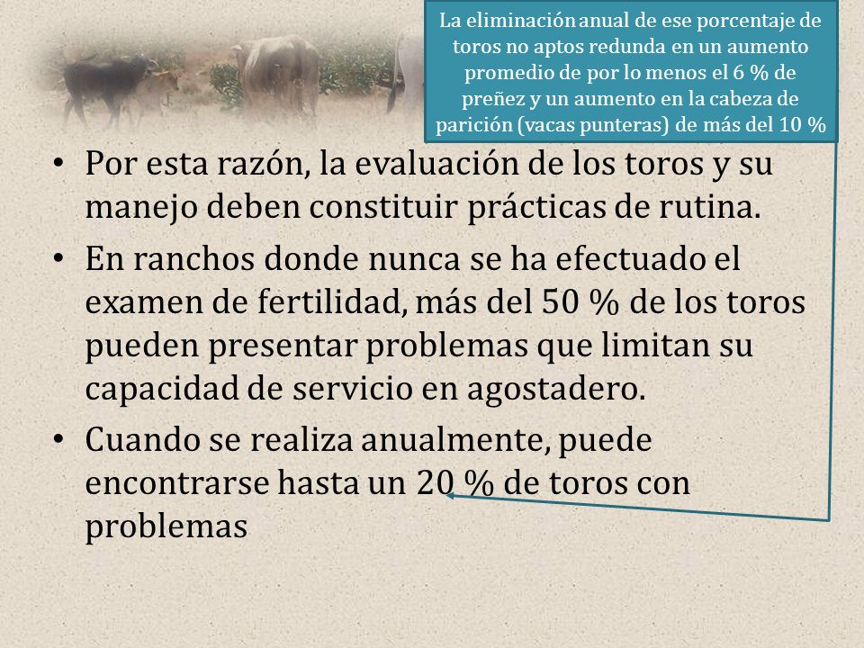 La eliminación anual de ese porcentaje de toros no aptos redunda en un aumento promedio de por lo menos el 6 % de preñez y un aumento en la cabeza de parición (vacas punteras) de más del 10 %