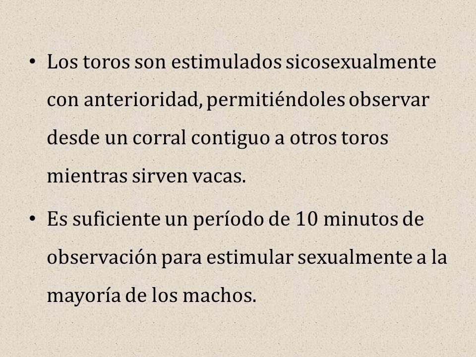 Los toros son estimulados sicosexualmente con anterioridad, permitiéndoles observar desde un corral contiguo a otros toros mientras sirven vacas.